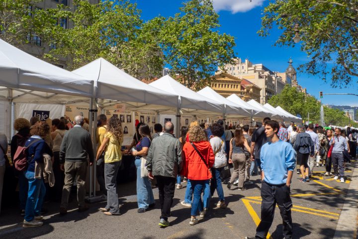 Sant Jordi 2025