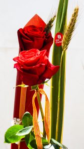 Sant Jordi 2025